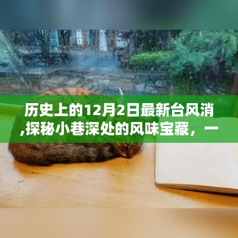 探秘歷史臺風背后的獨特小巷美食寶藏，一家隱藏在小巷深處的風味小店