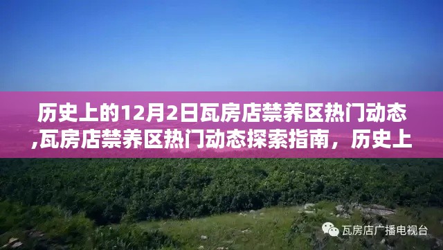 歷史上的12月2日瓦房店禁養(yǎng)區(qū)動(dòng)態(tài)回顧與深入體驗(yàn)指南