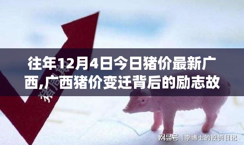 廣西歷年12月4日豬價變遷背后的勵志故事，擁抱自信與成就感，學習變化之路。