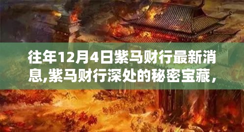 紫馬財(cái)行深處的秘密寶藏，最新消息與小巷特色小店新發(fā)現(xiàn)揭秘