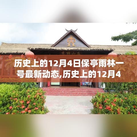 歷史上的12月4日保亭雨林一號最新動態(tài)及其影響深度解析