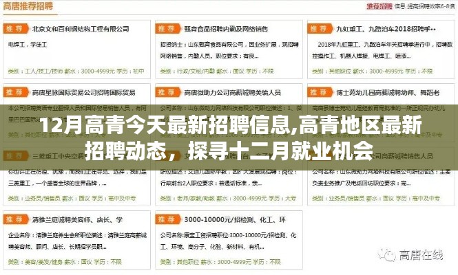 高青地區(qū)最新招聘信息及十二月就業(yè)機(jī)會(huì)探尋