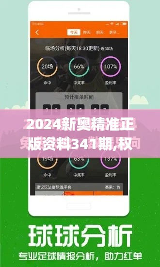 2024新奧精準(zhǔn)正版資料341期,權(quán)威推進方法_SP10.590