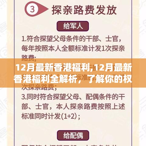 香港十二月福利全解析，保障權益，暢享生活