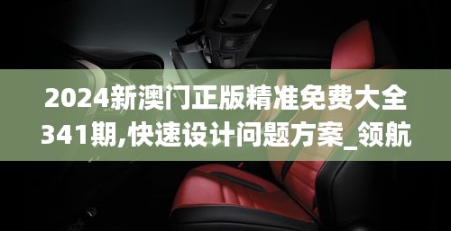 2024新澳門正版精準(zhǔn)免費(fèi)大全341期,快速設(shè)計(jì)問題方案_領(lǐng)航款4.656