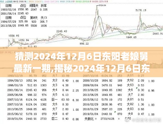 揭秘與預測，東陽老娘舅節目走向深度分析——最新一期展望與預測（2024年12月6日）