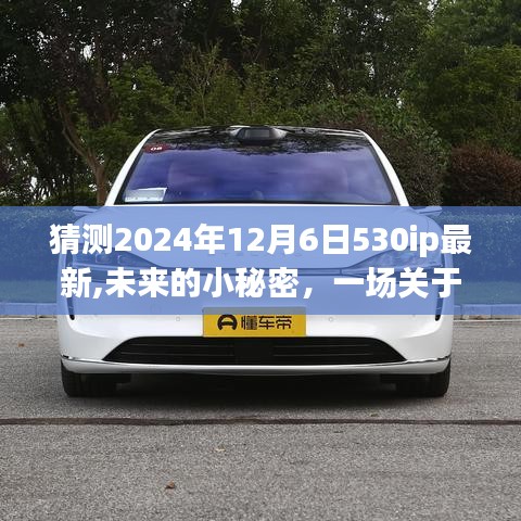 未來小秘密，2024年12月6日530ip最新，友情與愛的溫馨時光之旅