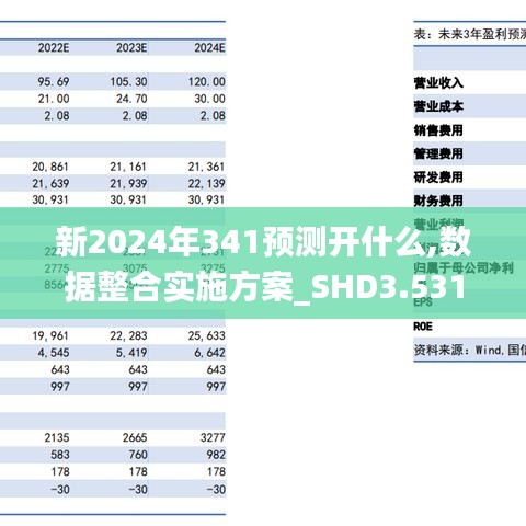 新2024年341預測開什么,數據整合實施方案_SHD3.531
