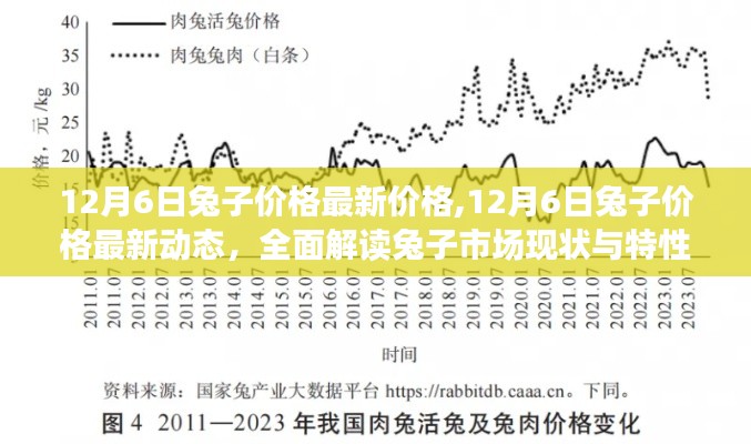 12月6日兔子價格最新動態(tài)及市場全面解讀