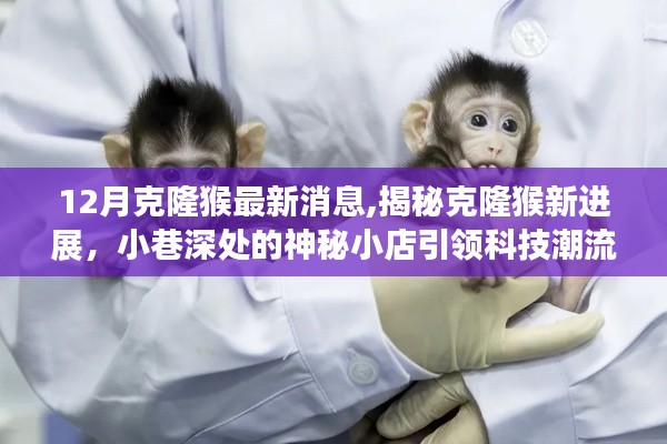 揭秘克隆猴最新進展，神秘小店引領(lǐng)科技潮流新動態(tài)