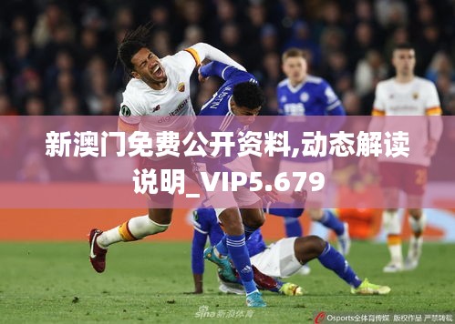 新澳門免費公開資料,動態(tài)解讀說明_VIP5.679