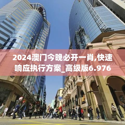 2024澳門今晚必開一肖,快速響應執(zhí)行方案_高級版6.976