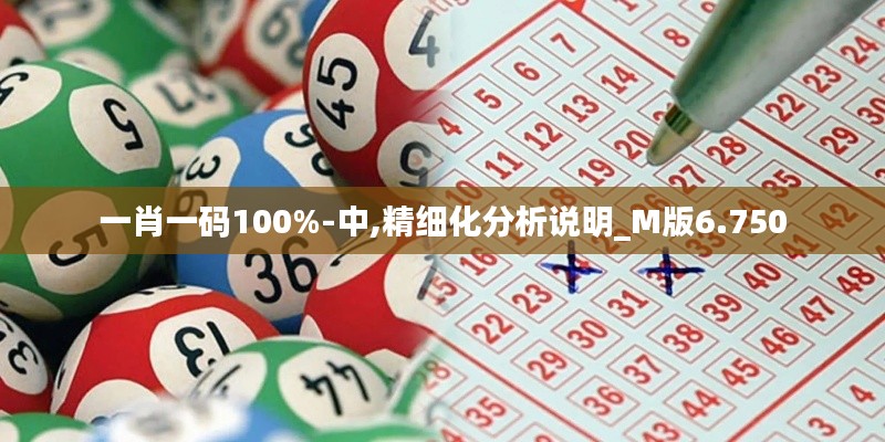 一肖一碼100%-中,精細(xì)化分析說(shuō)明_M版6.750
