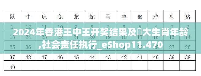 2024年香港王中王開獎結果及枓大生肖年齡,社會責任執(zhí)行_eShop11.470