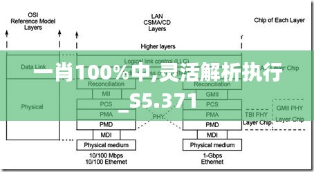 一肖100%中,靈活解析執(zhí)行_S5.371