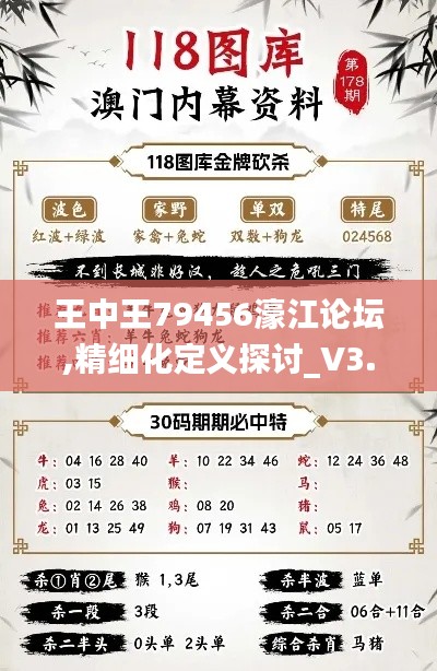 王中王79456濠江論壇,精細(xì)化定義探討_V3.393