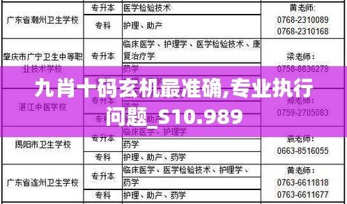 九肖十碼玄機(jī)最準(zhǔn)確,專業(yè)執(zhí)行問題_S10.989