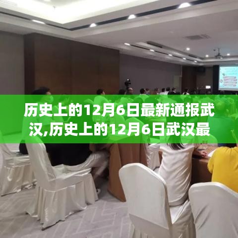 多維度視角下的深度解讀與反思，歷史上的武漢十二月六日最新通報
