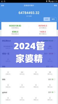 2024管家婆精準資料第三,系統(tǒng)解析說明_XT4.860
