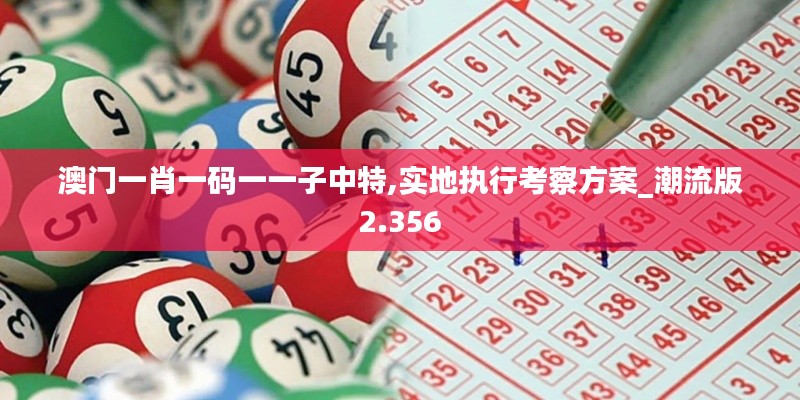 澳門一肖一碼一一子中特,實(shí)地執(zhí)行考察方案_潮流版2.356