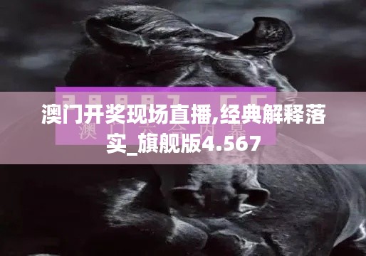澳門開獎(jiǎng)現(xiàn)場(chǎng)直播,經(jīng)典解釋落實(shí)_旗艦版4.567