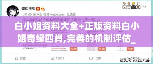 白小姐資料大全+正版資料白小姐奇緣四肖,完善的機(jī)制評(píng)估_HDR4.491