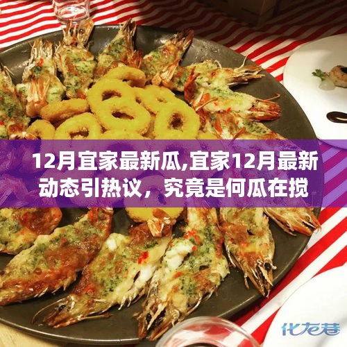 宜家十二月熱議新瓜揭秘，最新動態攪動輿論風云
