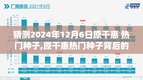 揭秘原干惠熱門種子背后的故事，回顧與預測至2024年12月6日的影響與展望