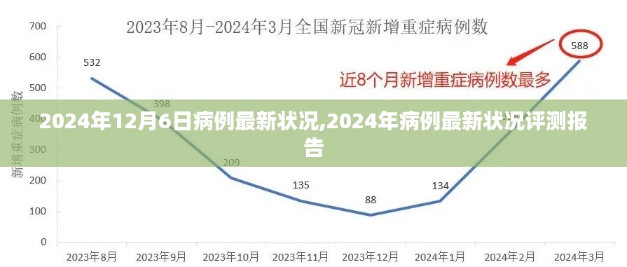 2024年病例最新狀況報(bào)告，深度解析與評測
