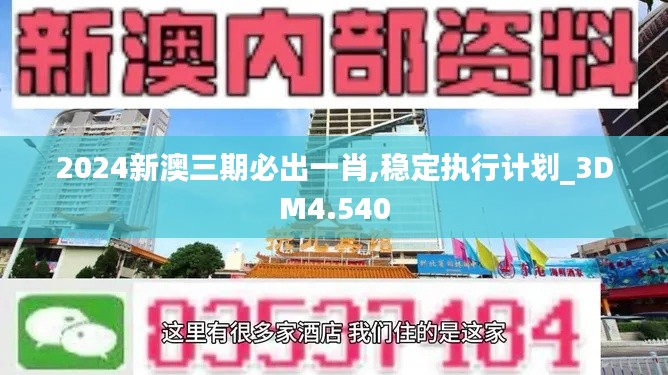 2024新澳三期必出一肖,穩(wěn)定執(zhí)行計(jì)劃_3DM4.540