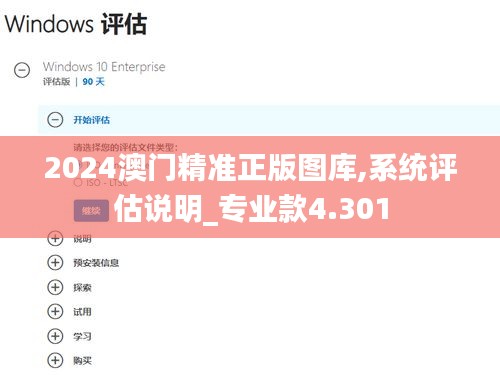 2024澳門精準正版圖庫,系統評估說明_專業款4.301
