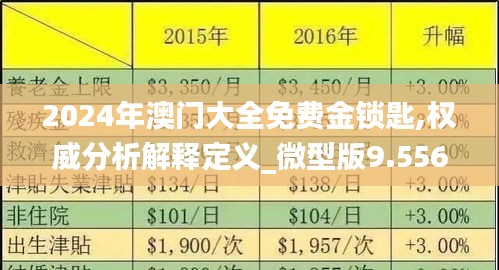 2024年澳門(mén)大全免費(fèi)金鎖匙,權(quán)威分析解釋定義_微型版9.556