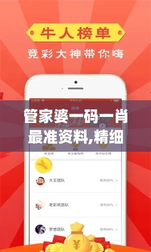 管家婆一碼一肖最準資料,精細設(shè)計策略_2D4.198