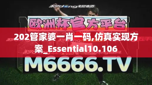 202管家婆一肖一碼,仿真實(shí)現(xiàn)方案_Essential10.106