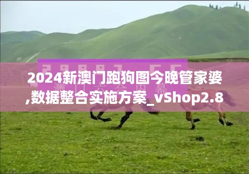 2024新澳門跑狗圖今晚管家婆,數(shù)據(jù)整合實施方案_vShop2.856