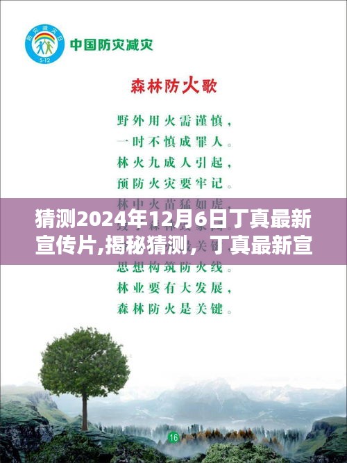 揭秘猜測，丁真最新宣傳片亮相預告 2024年12月6日，純真相遇時刻！
