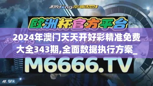 2024年澳門天天開好彩精準(zhǔn)免費(fèi)大全343期,全面數(shù)據(jù)執(zhí)行方案_開發(fā)版19.233