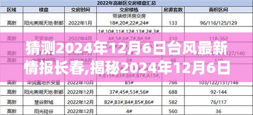 揭秘2024年12月6日臺風(fēng)最新動態(tài)，長春備戰(zhàn)，臺風(fēng)預(yù)警與應(yīng)對措施全解析