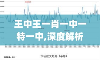 王中王一肖一中一特一中,深度解析數(shù)據(jù)應(yīng)用_WP14.560