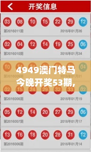 4949澳門(mén)特馬今晚開(kāi)獎(jiǎng)53期,綜合性計(jì)劃定義評(píng)估_特供版15.538