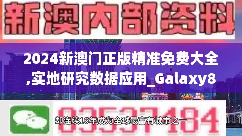 2024新澳門正版精準(zhǔn)免費(fèi)大全,實(shí)地研究數(shù)據(jù)應(yīng)用_Galaxy8.161