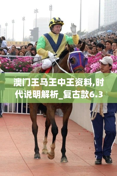 澳門(mén)王馬王中王資料,時(shí)代說(shuō)明解析_復(fù)古款6.388