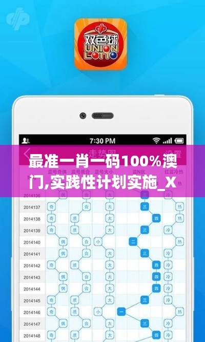 最準(zhǔn)一肖一碼100%澳門,實(shí)踐性計(jì)劃實(shí)施_X版1.574
