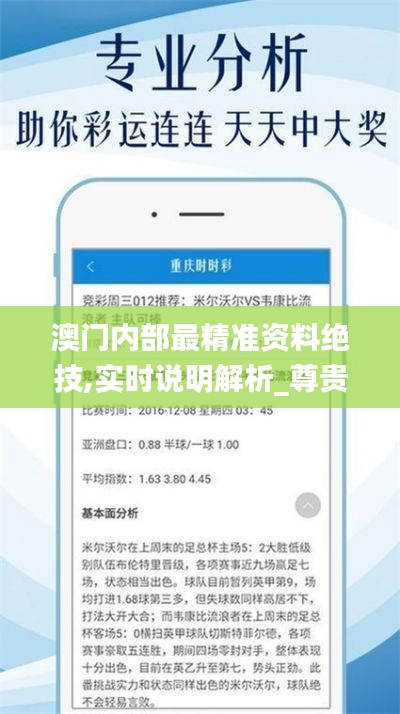 澳門(mén)內(nèi)部最精準(zhǔn)資料絕技,實(shí)時(shí)說(shuō)明解析_尊貴款1.199