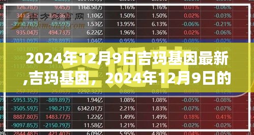 吉瑪基因最新進展與深遠影響，2024年12月9日報告更新