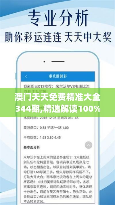 澳門(mén)天天免費(fèi)精準(zhǔn)大全344期,精選解讀100%精準(zhǔn)_交互版2.694