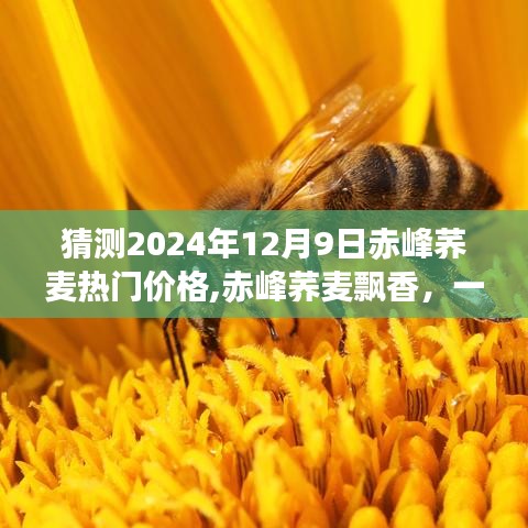 鳥面鵠形 第3頁