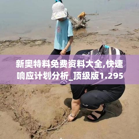 快速響應(yīng)計劃分析