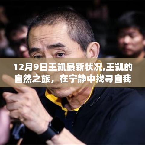 王凱的寧?kù)o自然之旅，探尋自我與自然的和諧共鳴的最新動(dòng)態(tài)（12月9日更新）