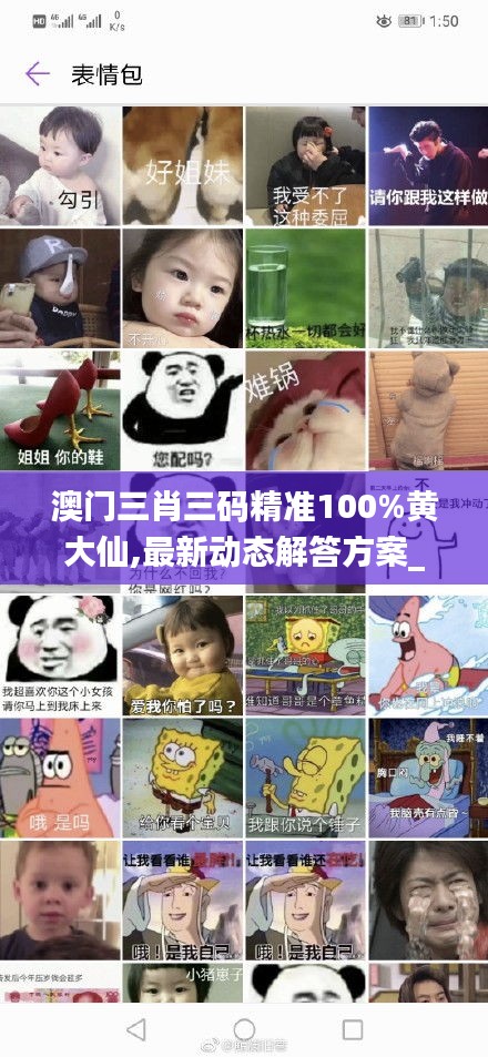 澳門三肖三碼精準(zhǔn)100%黃大仙,最新動(dòng)態(tài)解答方案_QHD4.706